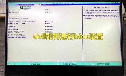 dell电脑bios设置图解教程_dell电脑bios设置详解