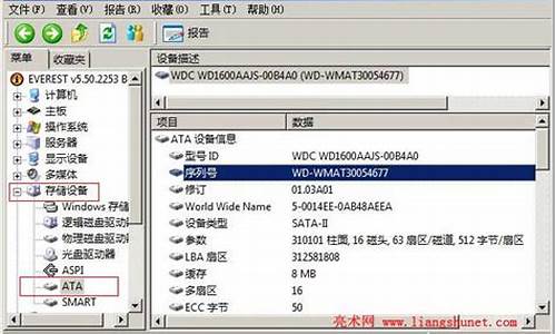 everest查看硬盘序列号_everest硬盘序列号
