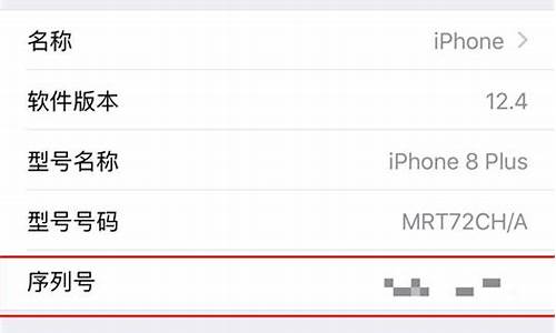 如何查iphone序列号查询_如何查询iphone序列号查询